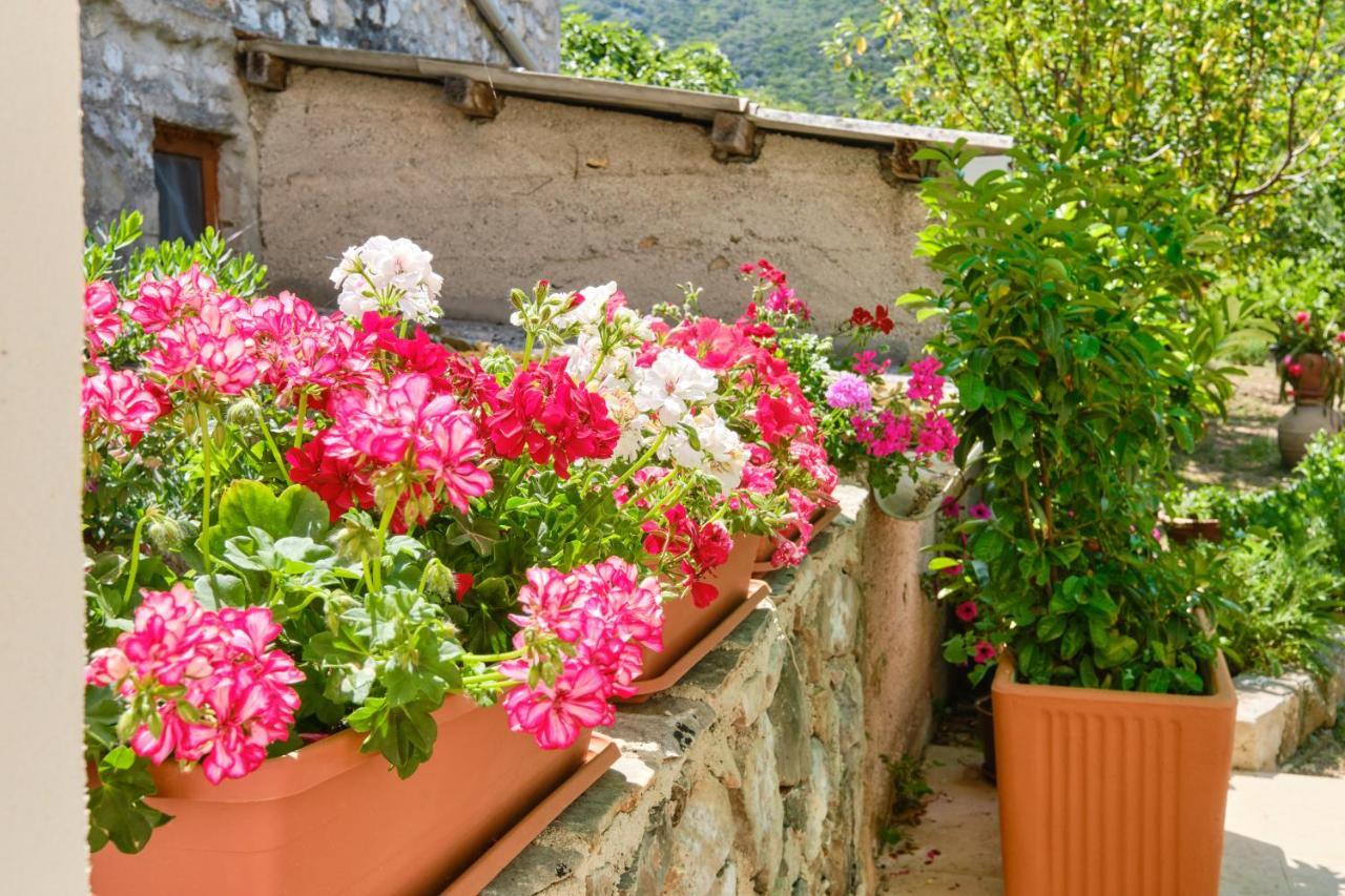 Kaleta Apartamento Sveti Jakov